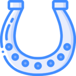logo provisoire cavalnet